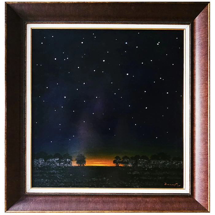 Damir Krivenko's painting "The Starry Sky"